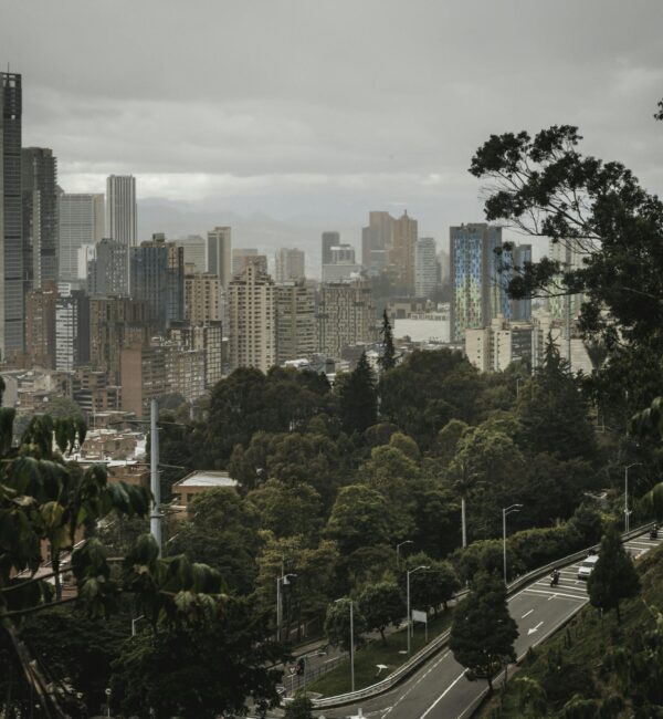 Explore the urban skyline of Bogotá from a scenic viewpoint, blending city life with lush greenery.